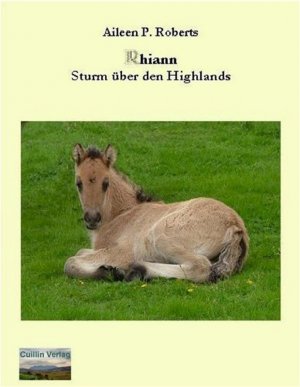 ISBN 9783981096613: Rhiann - Sturm über den Highlands