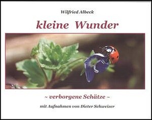 ISBN 9783981149517: kleine Wunder – verborgene Schätze