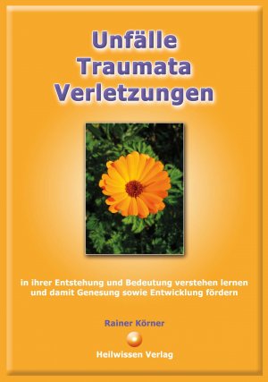 ISBN 9783981479522: Unfälle - Traumata - Verletzungen - in ihrer Entstehung und Bedeutung verstehen lernen und damit Genesung sowie Entwicklung fördern