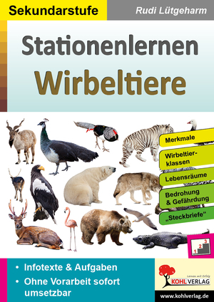 ISBN 9783985583140: Stationenlernen Wirbeltiere - Übersichtliche Aufgabenkarten für die Sekundarstufe