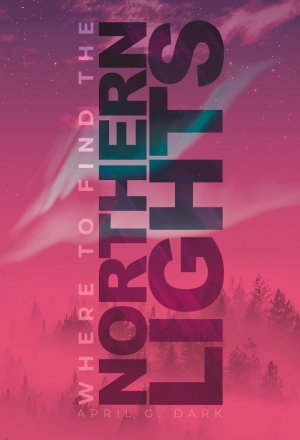 ISBN 9783985951024: Where to find the Northern Lights