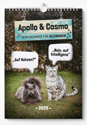 ISBN 9783989352650: Apollo & Cosmo - Kein Kalender für Allergiker - Katzen-Kalender 2025 - Wandkalender A3 mit Spiralbindung - Süße Katzen Bilder und lustige Sprüche für das ganze Jahr