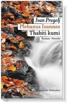 gebrauchtes Buch – Ivan Pregelj – Plebanus Ioannes - Roman