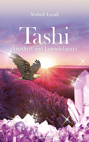 ISBN 9783991078463: Tashi - Amethyst und Lavendelquarz