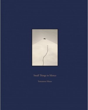 ISBN 9788415118831: Small Things in Silence