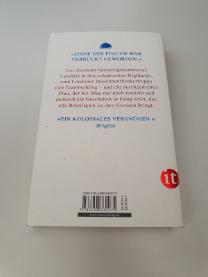 gebrauchtes Buch – Isabel Bogdan – Der Pfau
