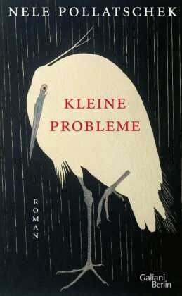 gebrauchtes Buch – Nele Pollatschek – Kleine Probleme