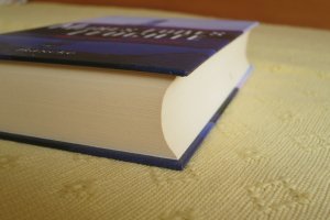 gebrauchtes Buch – Susanne Riderer – Meines Fußes Leuchte - 365 x Licht für den Alltag