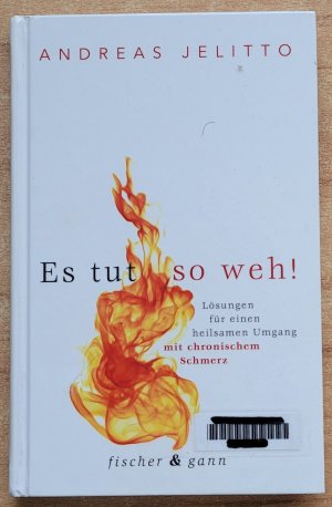 gebrauchtes Buch – Andreas Jelitto – Es tut so weh! - Lösungen für einen heilsamen Umgang mit chronischem Schmerz