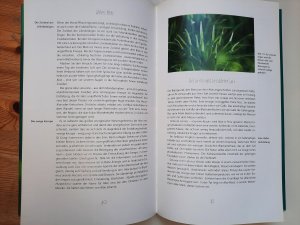 gebrauchtes Buch – Christina Kiehs-Glos – Aloe Vera - Eine Heilpflanze ruht in Bewegung