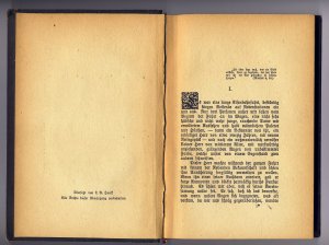antiquarisches Buch – TOLSTOI – Die Kreutzersonate