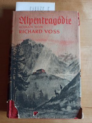 antiquarisches Buch – Richard Voss – Alpentragödie