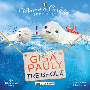 gebrauchtes Hörbuch – Gisa Pauly – Treibholz