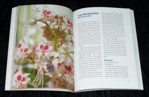 gebrauchtes Buch – Gienger, Michael; Misala-Sellin – Stein und Blüte - Hilfe und Heilung mit Bach-Blüten und Edelsteinen