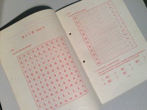 gebrauchtes Buch – Chinese Charakter Exercise Book