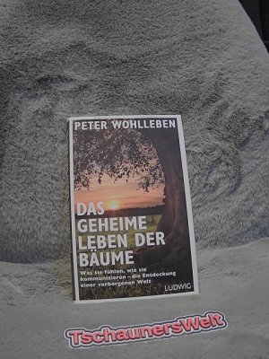 gebrauchtes Buch – Peter Wohlleben – Das geheime Leben der Bäume : was sie fühlen, wie sie kommunizieren - die Entdeckung einer verborgenen Welt.