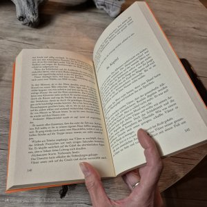 gebrauchtes Buch – Sebastian Fitzek – Die Therapie