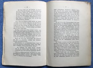 antiquarisches Buch – Leexow, Karl Franz von – Armee und Homosexualität - Schadet Homosexualität der militärischen Tüchtigkeit einer Rasse?