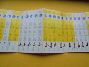 antiquarisches Buch – Deutscher Bund für Vogelschutz – DBV  -  Vogelkarte  -  Teil  1