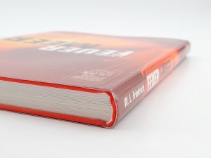 gebrauchtes Buch – Friedrich, Walter L – Feuer im Meer (2005)