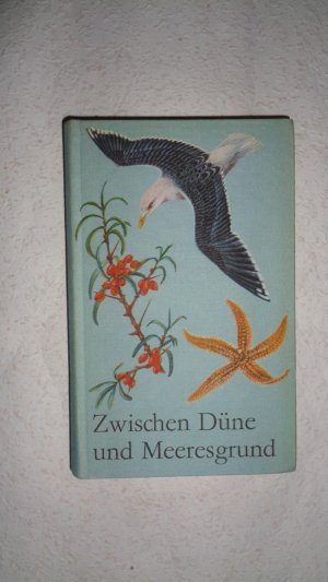 antiquarisches Buch – Ernst Albert Arndt – Zwischen Düne und Meeresgrund, Tiere und Pflanzen des Ostseeraums