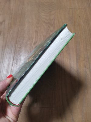 gebrauchtes Buch – Astrid Lindgren – Ronja Räubertochter
