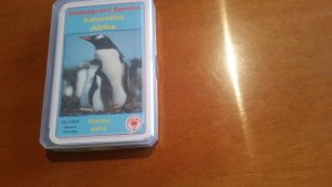 neues Spiel – Antarctica / Africa Endangered Species  Quartett