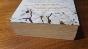 gebrauchtes Buch – Lucinda Riley – Der Engelsbaum