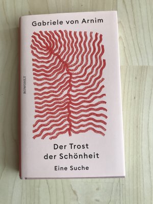 gebrauchtes Buch – Arnim, Gabriele von – Der Trost der Schönheit - Eine Suche