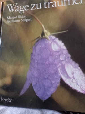 gebrauchtes Buch – Margot Bickel – Wage zu träumen gebrauchtes Buch – Margot Bickel – Wage zu träumen