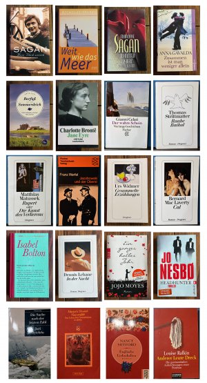 gebrauchtes Buch – Dan Brown – Meteor