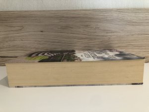 gebrauchtes Buch – Lucinda Riley – Der Lavendelgarten