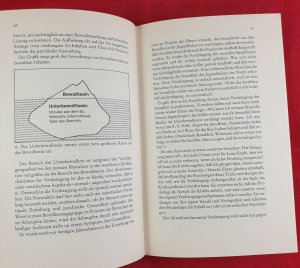 gebrauchtes Buch – Peter Lauster – Lassen Sie sich nichts gefallen : Die Kunst sich durchzusetzen