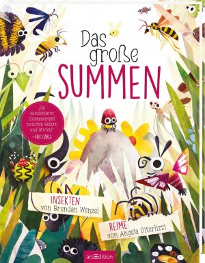 gebrauchtes Buch – Angela Diterlizzi – Das große Summen
