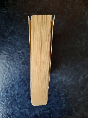 gebrauchtes Buch – Stephen King – Carrie