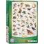 Eurographics 6000-1259 - Vögel, Puzzle, 