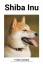 Fynn Hansen: Shiba Inu