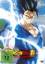 Dragon Ball Super: Super Hero