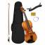 Violin Set 4/4 (incl. case black, bow, r