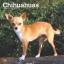 Browntrout: Chihuahuas 2025 12 X 24 Inch