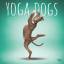 Browntrout: Yoga Dogs Official 2025 12 X