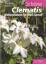 Andreas Bärtels: Schöne Clematis - Klett Andreas Bärtels: Schöne Clematis - Klett