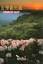Taiwan (Touch Your Heart) Tourist Map / 