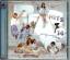 Diverse Interpreten: Bravo Hits 14 (Dopp Diverse Interpreten: Bravo Hits 14 (Dopp