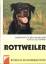 Urs Ochsenbein: Rottweiler