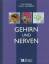 Gehirn und Nerven