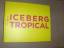 LUIS GORDILLO . ICEBERG TROPICAL *. Antologica (Arbeiten) 1959-2007. - Schreier, Christoph, Miguel Fernandez-Cid Luis Gordillo u. a.