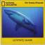 National Geographic - Ultimate Shark