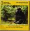 The Lost Film Of Dian Fossey - Mountain 