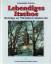 Friedrich Priewe: Lebendiges Itzehoe. 75